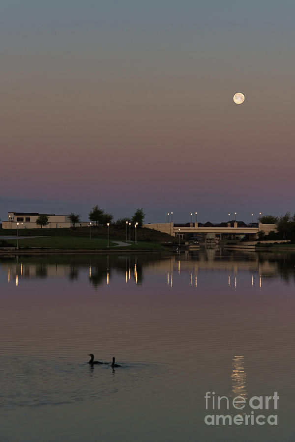 Moonlit lake Photograph by Glen Carpenter