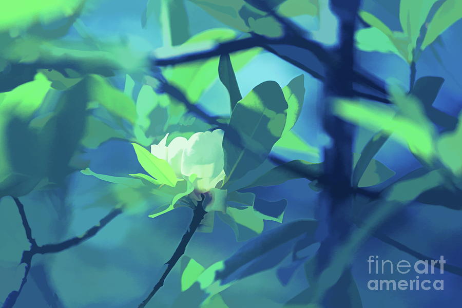 Moonlit Magnolia Digital Art by Karin Everhart