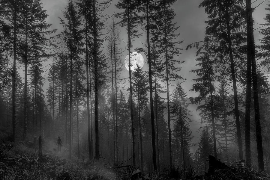 Moonlit Mist Photograph by Bill Posner
