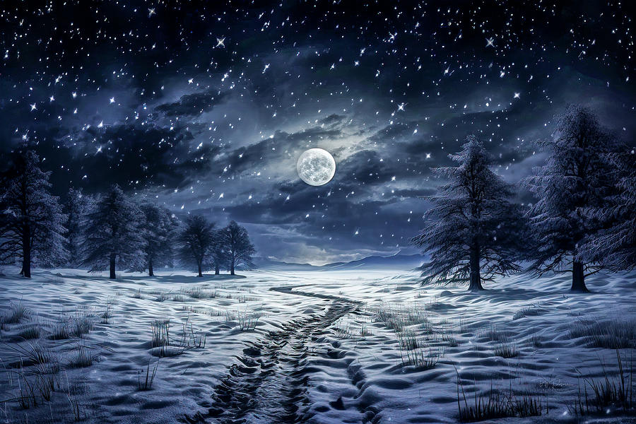 Moonlit Trail to a Winter Embrace Digital Art by Bill Posner