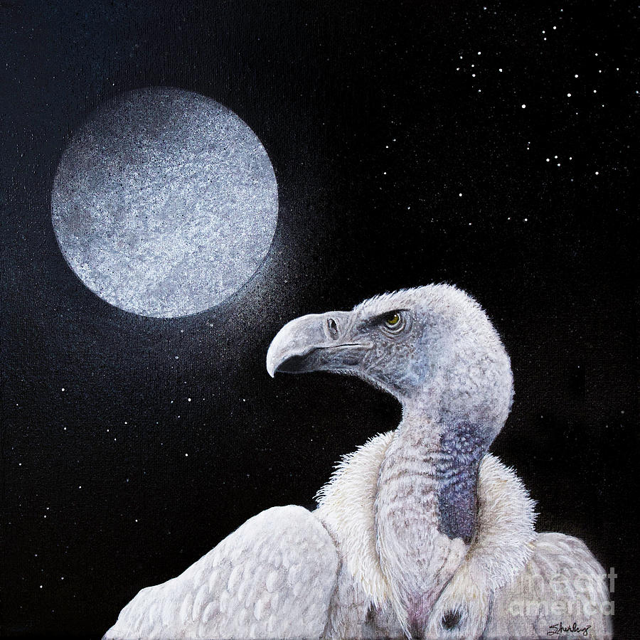 Moonlit Vulture Painting by Shirley Dutchkowski