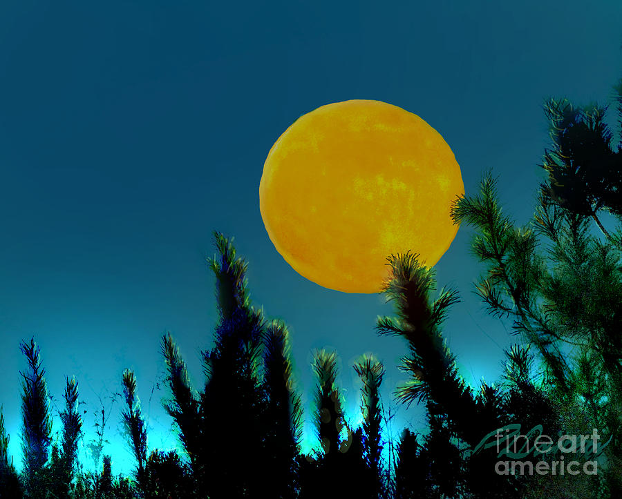 Abstract Photograph - Moonrise 112723 by Pat Davidson