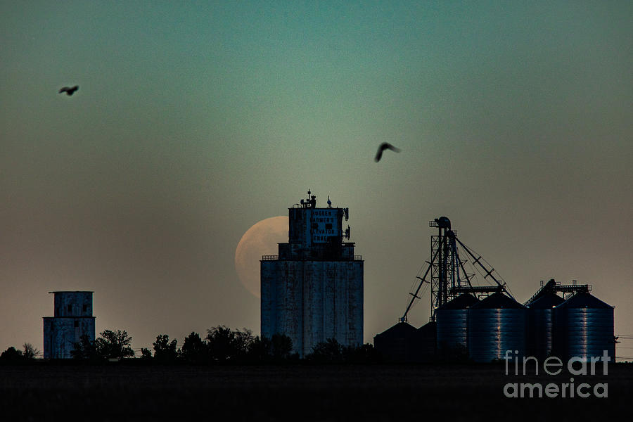 Moonrise and Birds at the Bennett Grain Elevator Photograph by JD Smith