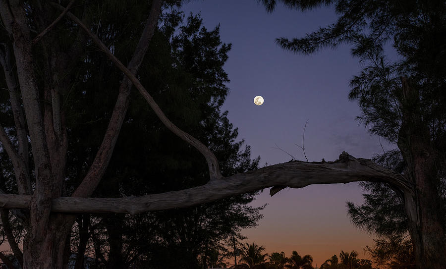 Moonrise Photograph by ARTtography by David Bruce Kawchak