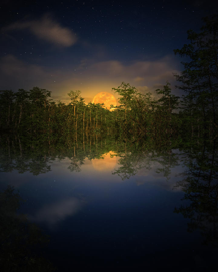 Moonrise at Alligator Pond Photograph by Mark Andrew Thomas