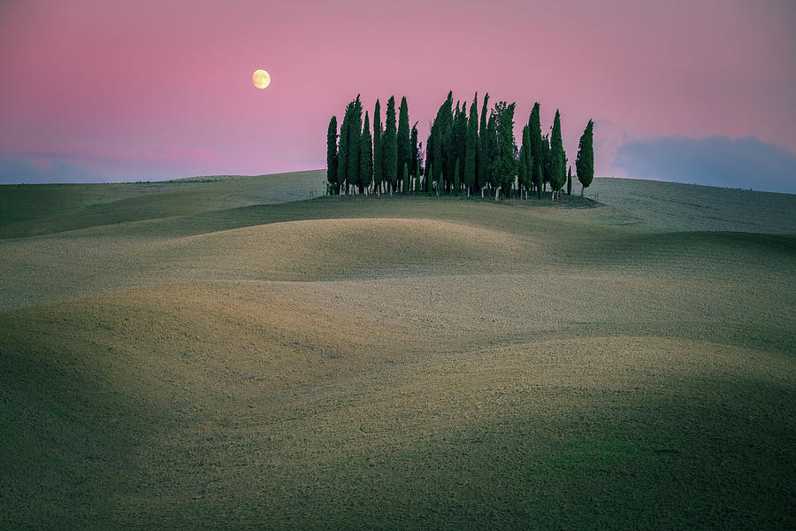 Moonrise at farm land Photograph by Henry w Liu