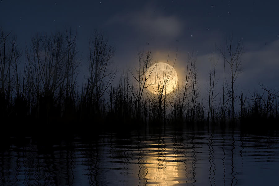 Moonrise at Owl Creek Photograph by Mark Andrew Thomas