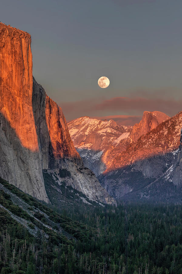 Yosemite Moonrise At Tunnel View Photograph By Harriet Feagin