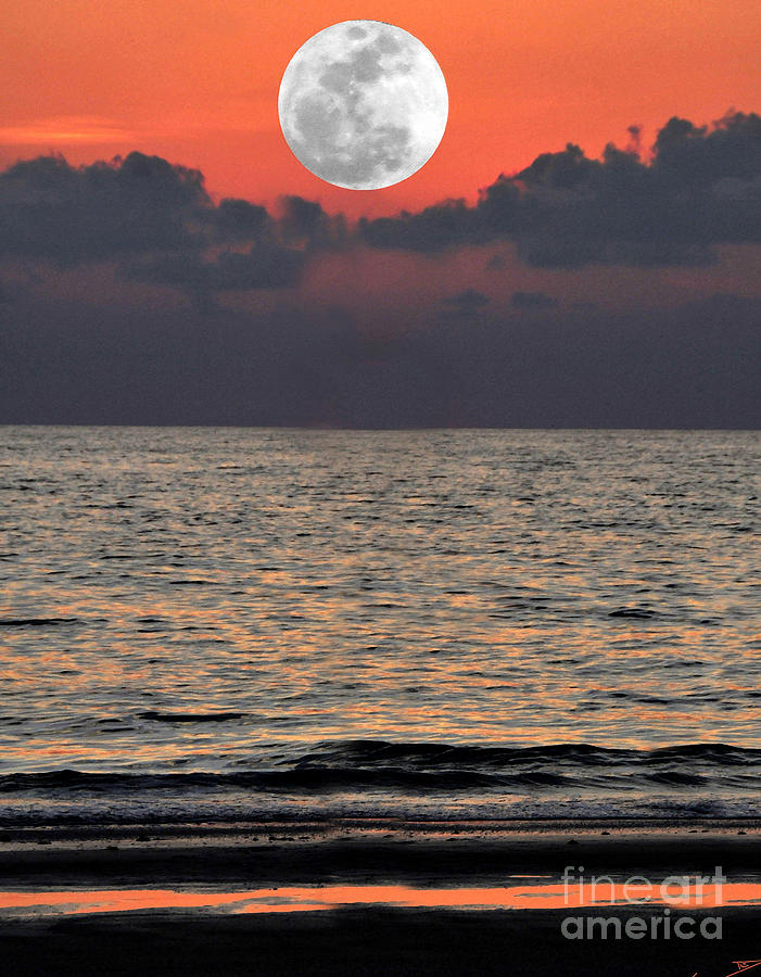 Moonrise Painting by David Lee Thompson