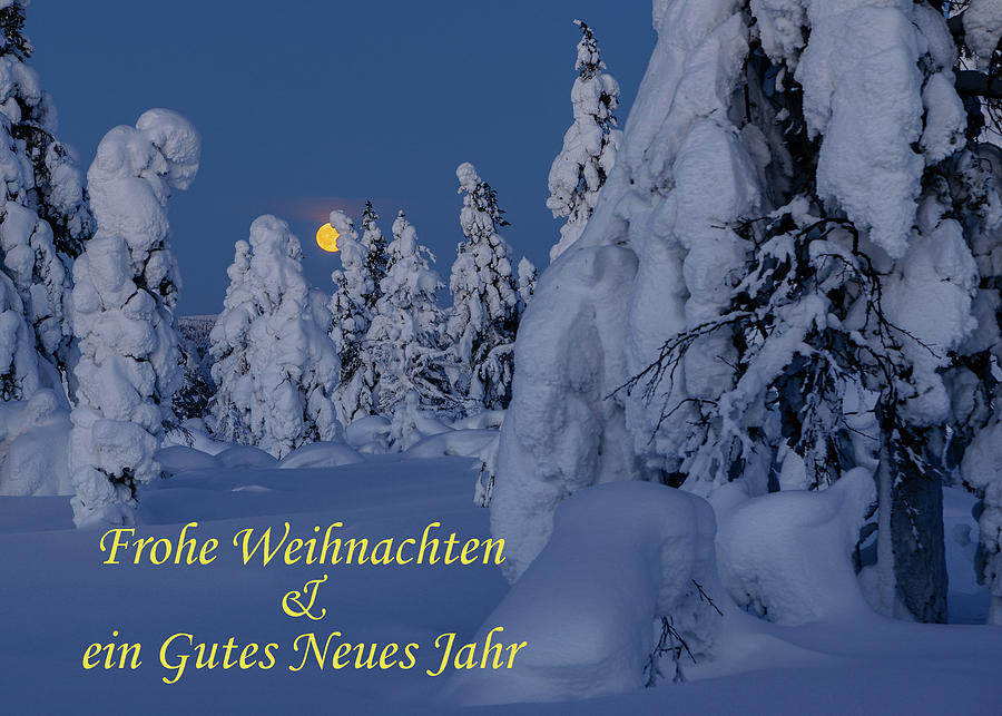 Greeting card - Moonrise - Frohe Weihnachten Gutes Neues Jahr Photograph by Thomas Kast