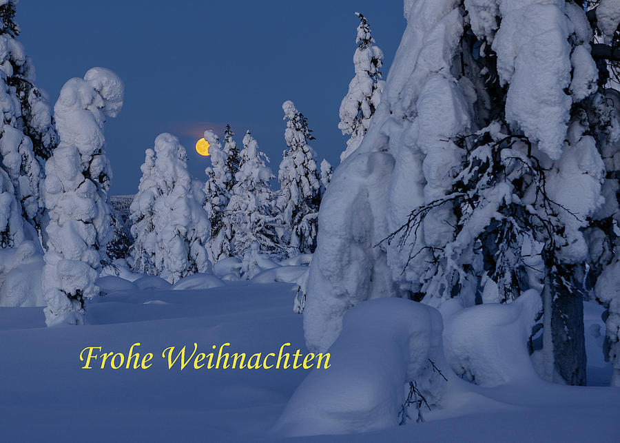 Greeting card - Moonrise - Frohe Weihnachten Photograph by Thomas Kast