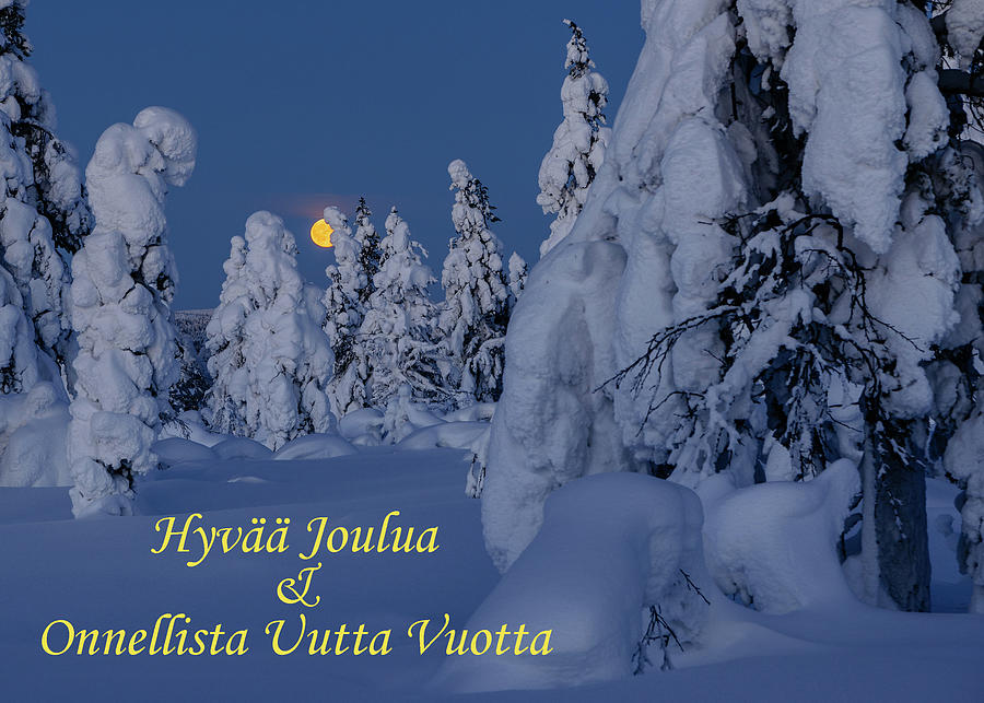 Greeting card - Moonrise - Hyvaa Joulua Onnellista Uutta Vuotta Photograph by Thomas Kast