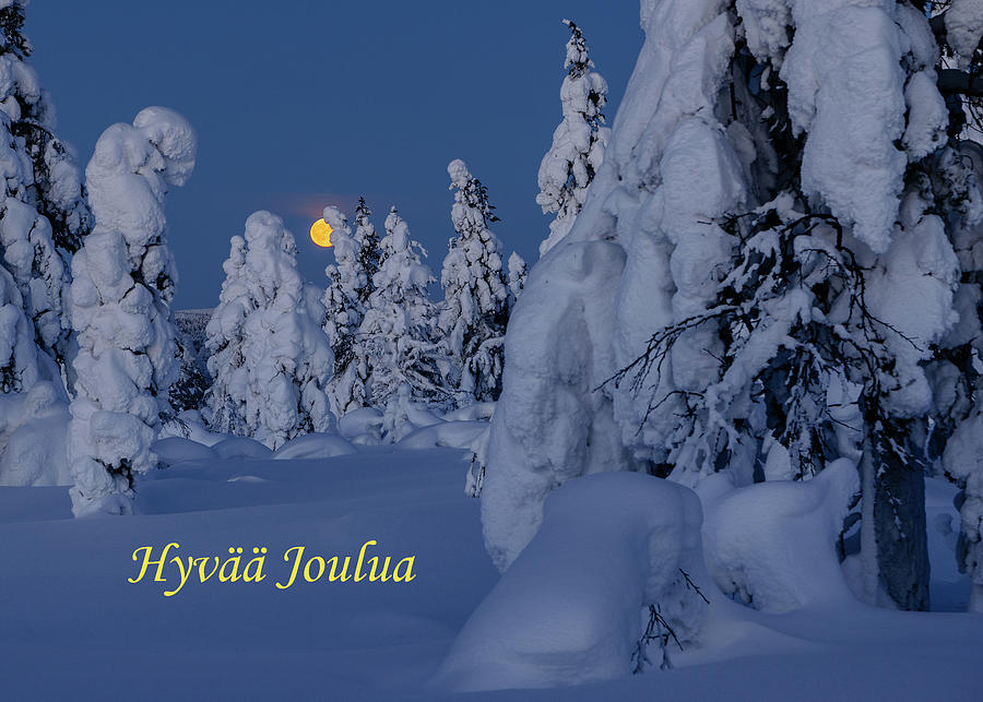 Greeting card - Moonrise - Hyvaa Joulua Photograph by Thomas Kast