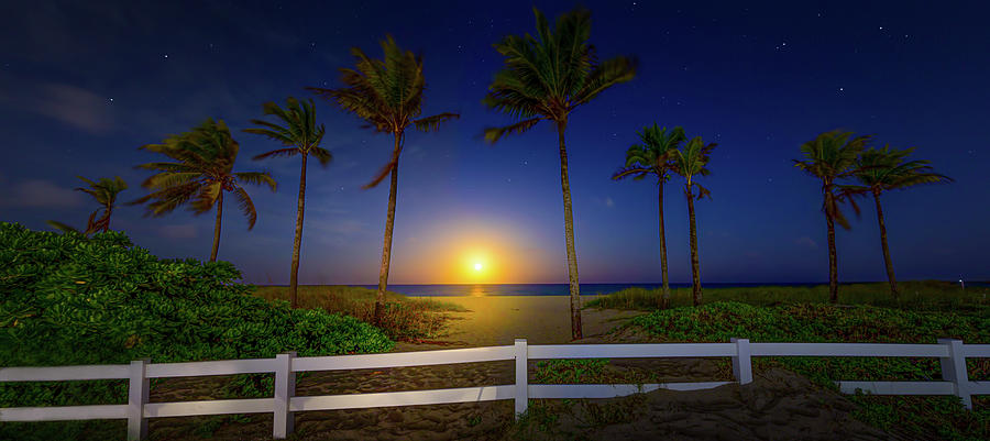 Moonrise in Paradise Photograph by Mark Andrew Thomas