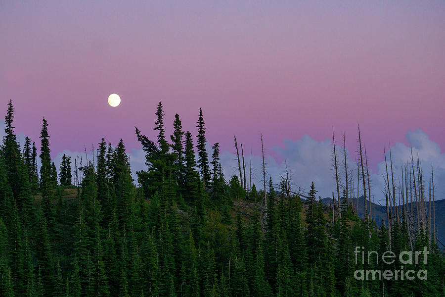Olympic National Park Photograph - Moonrise in Sunset Colors by Nancy Gleason