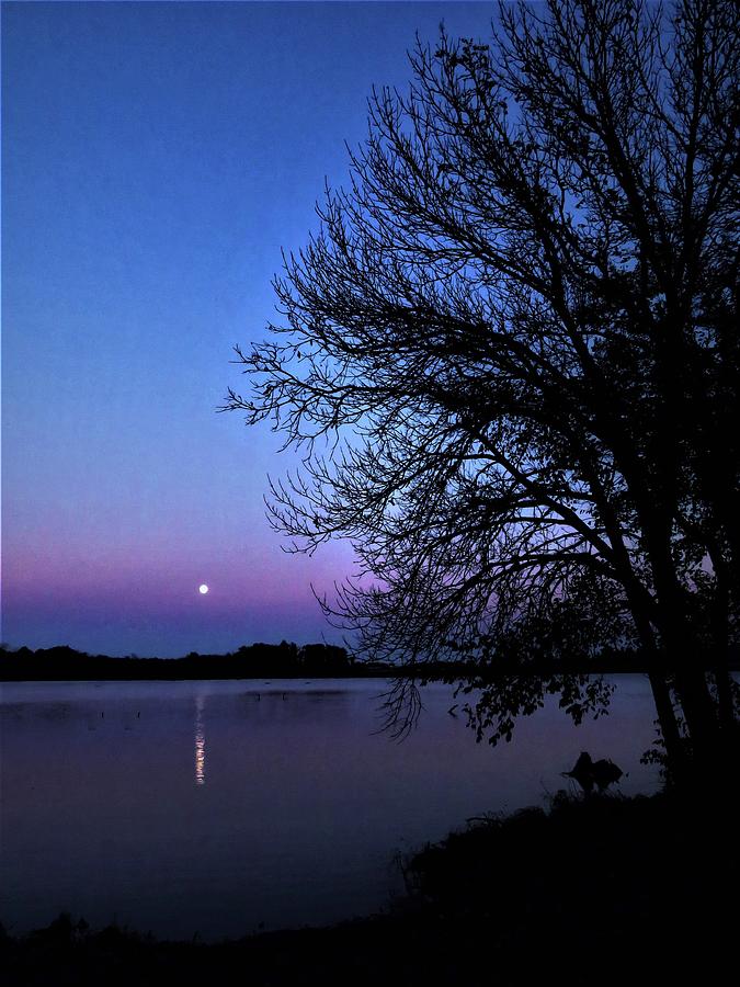 Moonrise on the Marsh  Photograph by Lori Frisch