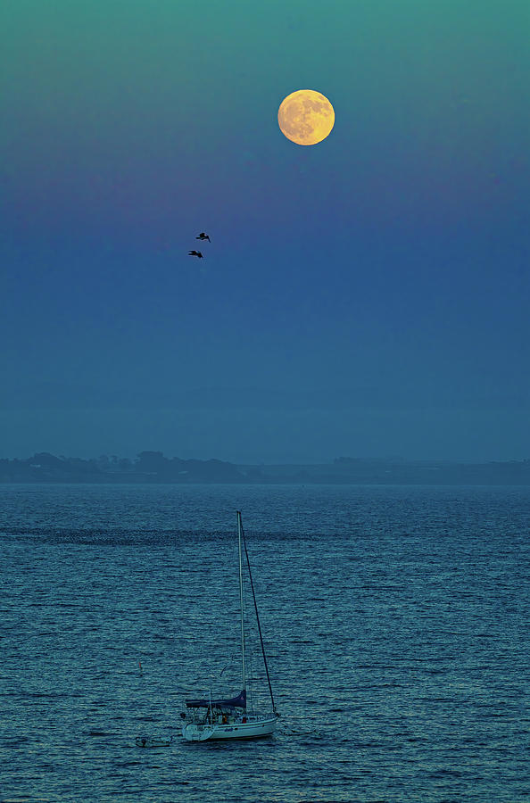 Moonrise Over Capitola Photograph by Tommy Farnsworth