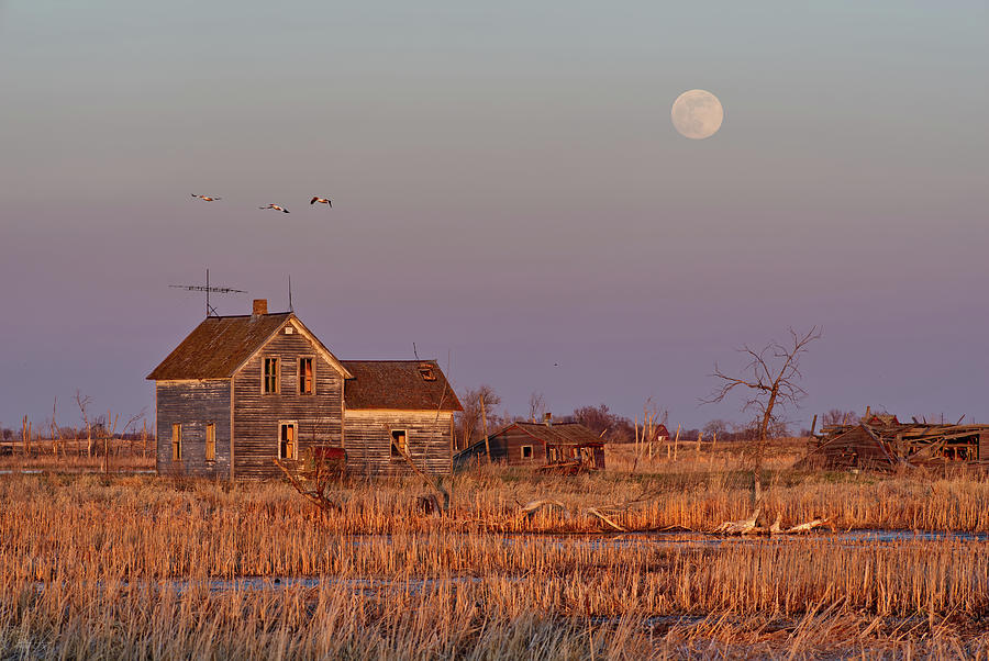 Moonrise over Maynards - Abandoned ND farm flooded out in sunset light with full moon rising Photograph by Peter Herman