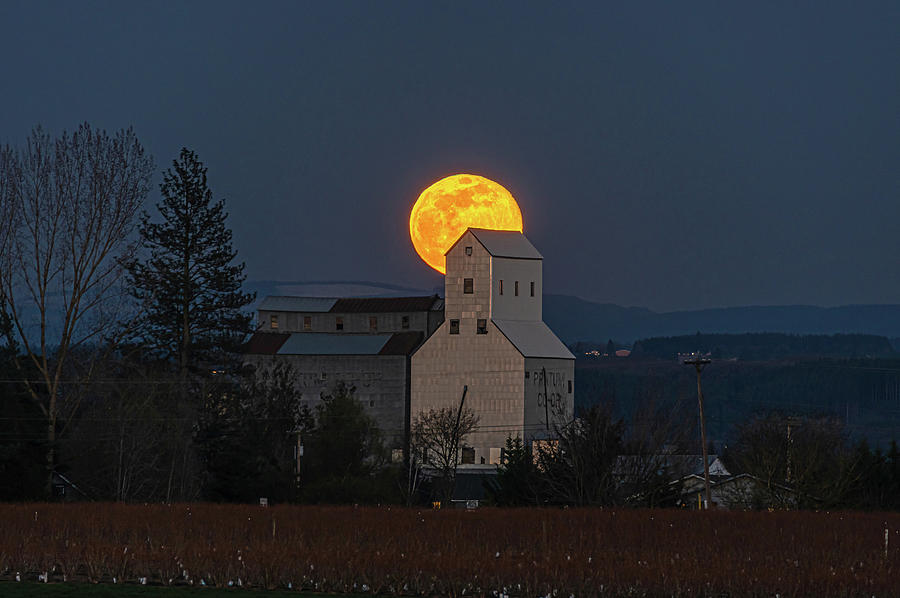 Moonrise over Pratum, OR Photograph by Ulrich Burkhalter