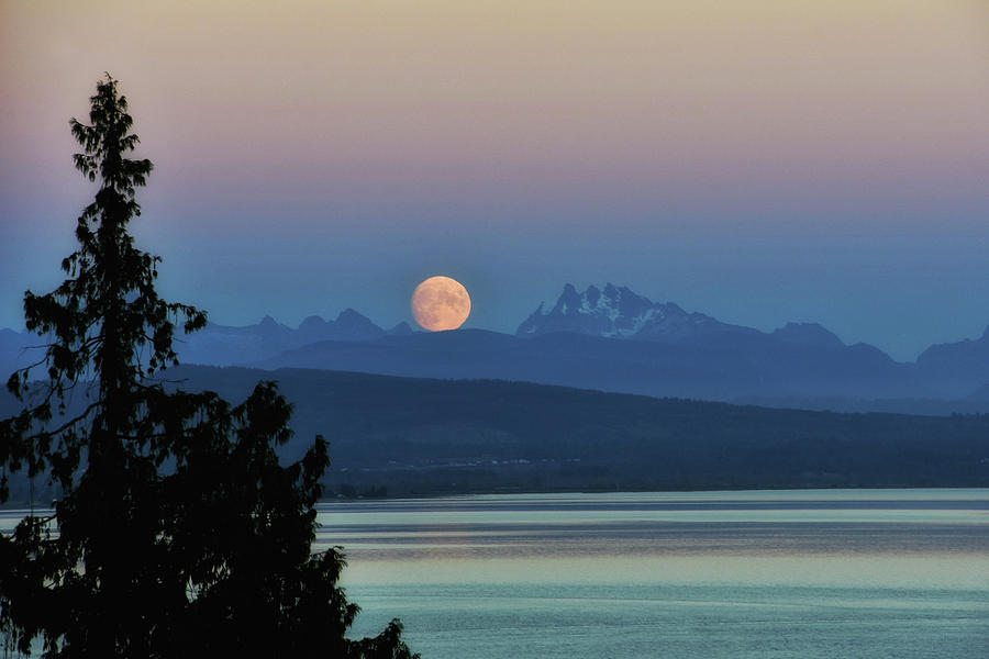 Moonrise Over Puget Sound Photograph by Steph Gabler