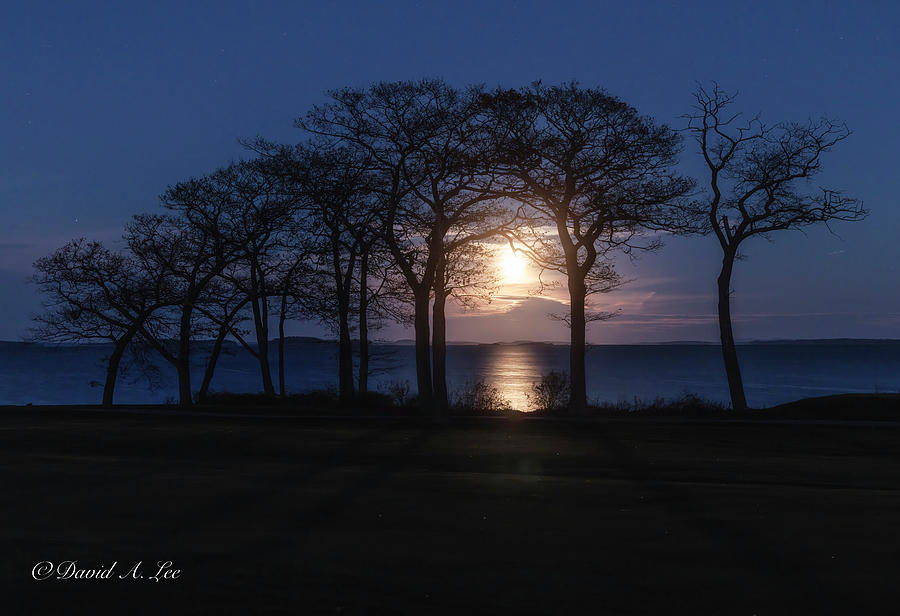 Moonrise over Samoset Photograph by David Lee