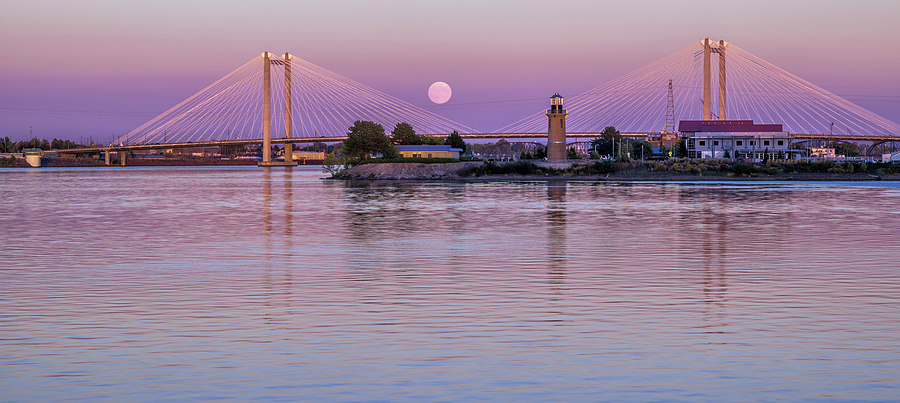 Moonrise Over the Cable Bridge Photograph by Loree Johnson