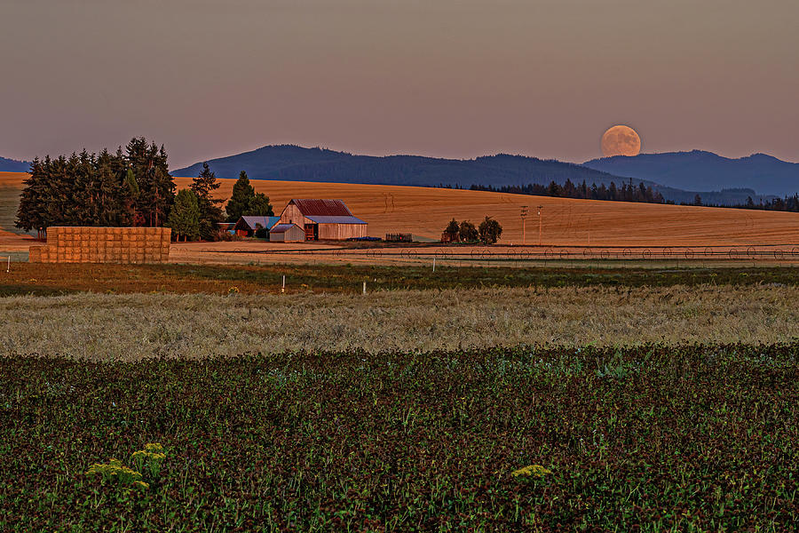 Moonrise over the valley Photograph by Ulrich Burkhalter