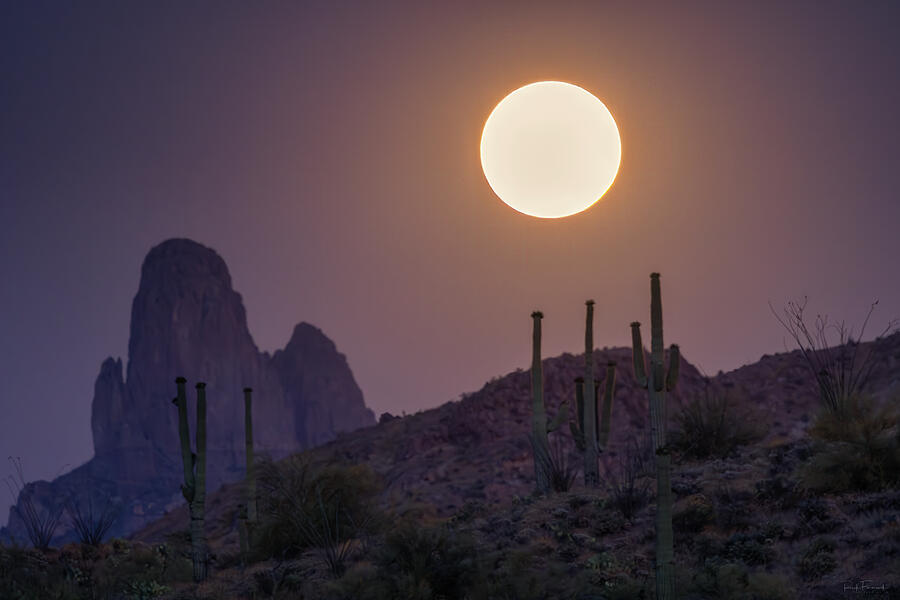 Moonrise Over Weavers Needle Photograph by Rick Furmanek