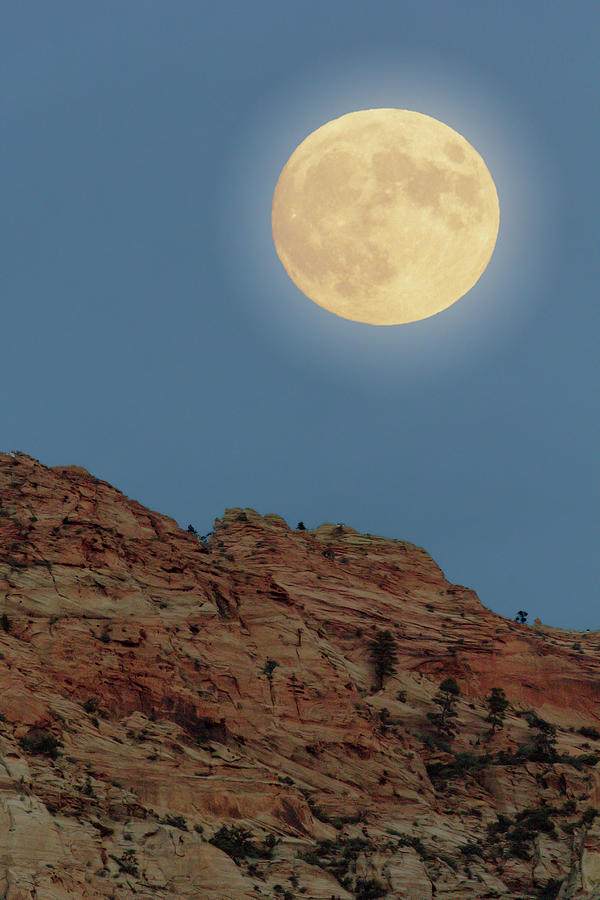 Moonrise over Zion Photograph by Peter J Sucy