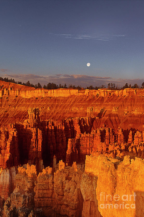 Moonrise Sunset Point Bryce Canyon National Park Utah Photograph by Dave Welling