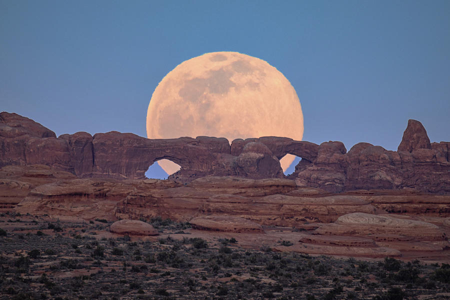 Moonrise Photograph by Whit Richardson Moonrise Photograph by Whit Richardson
