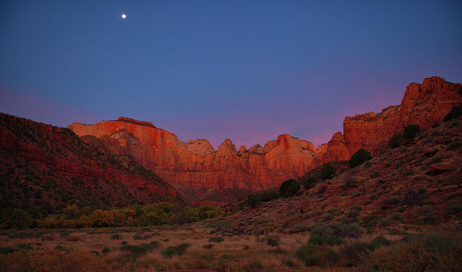Zion National Park Photograph - Moonset at Dawn by Stephen Vecchiotti