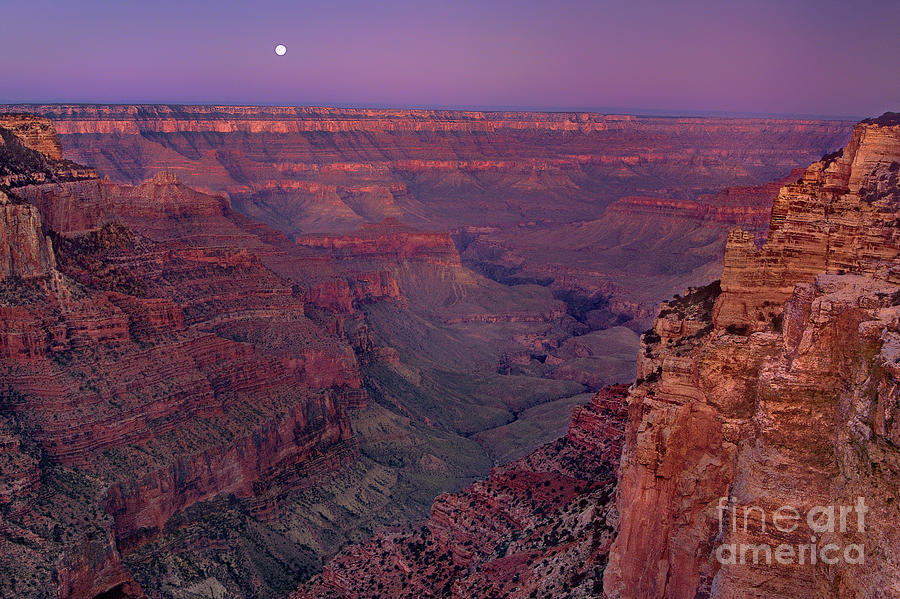 Moonset From Cape Royal North Rim Grand Canyon Nationa Photograph by Dave Welling