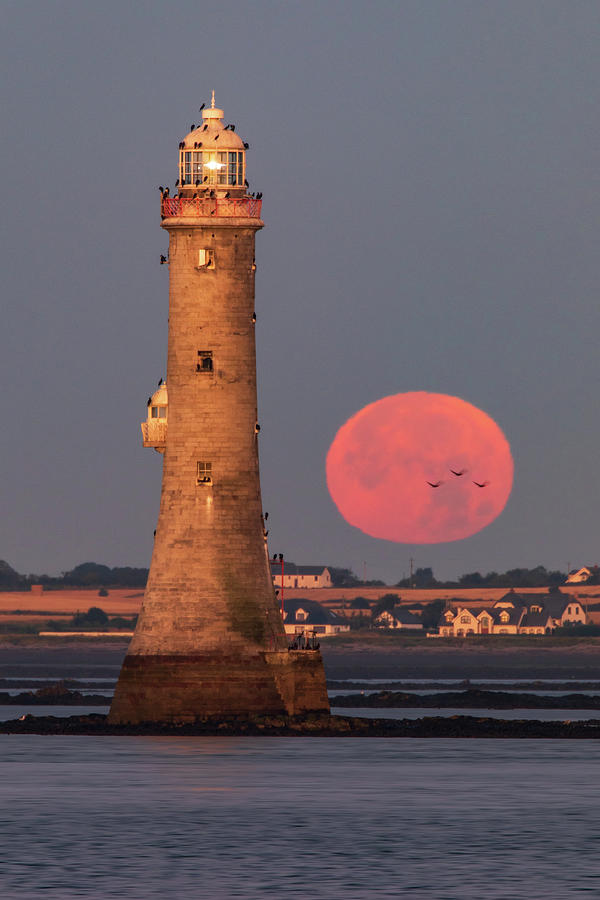 Moonset, Haulbowline Lighthouse Photograph by Adrian Hendroff
