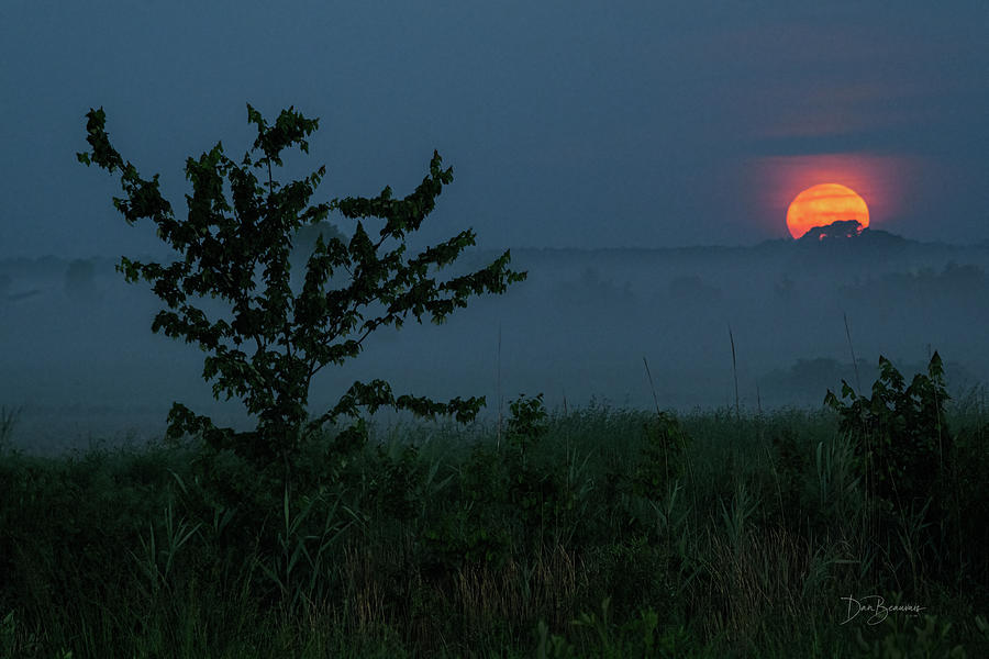 Moonset Over Foggy Field #1615 Photograph