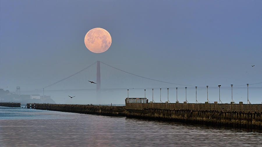 Moonset Over the Golden Gate Photograph by Laura Macky