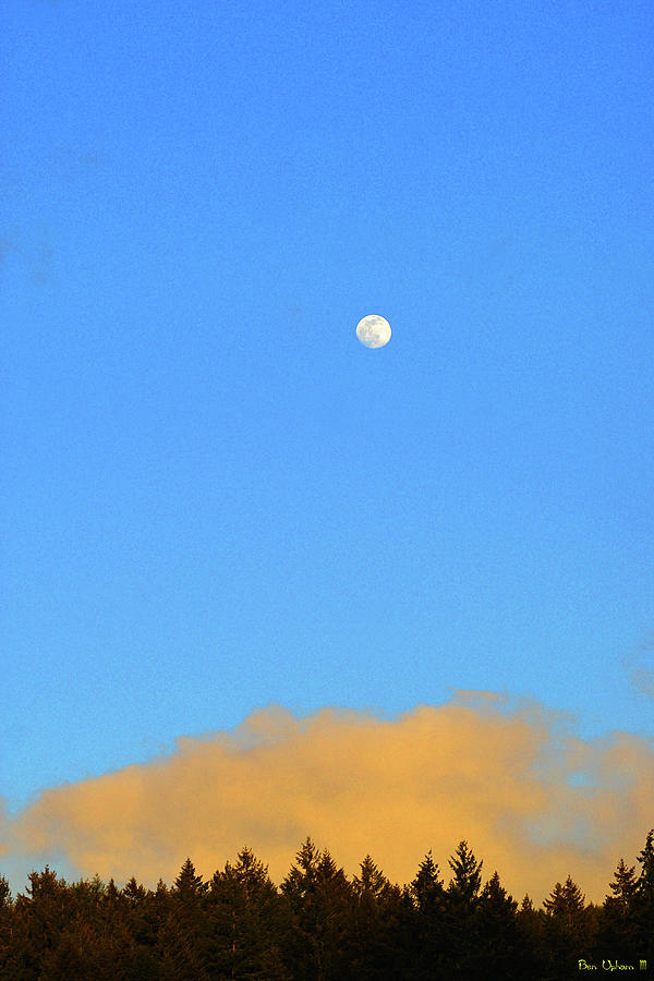Moonshine Skyline Photograph by Ben Upham III