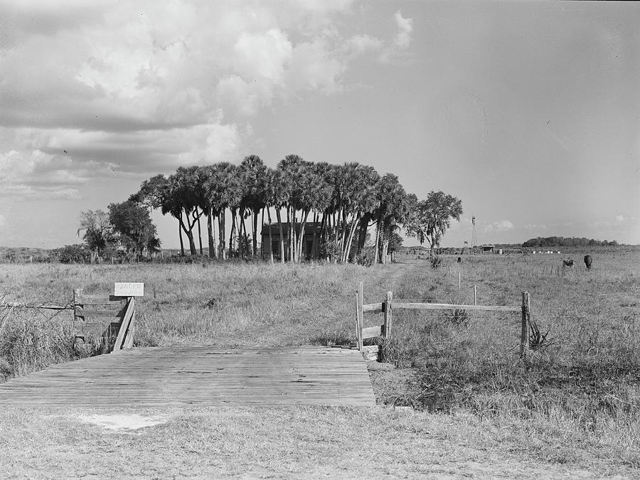 Moore Haven, Florida, 1930's, 1939, Old Photo, Black and White