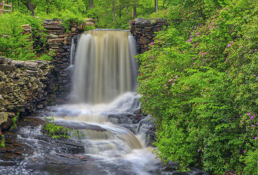  Moore State Park Central Massachusetts Waterfall Photograph by Juergen Roth