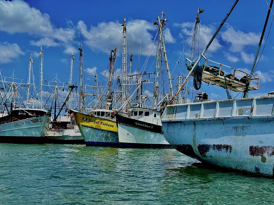 Moored Photograph by Amanda Pendl - Fine Art America