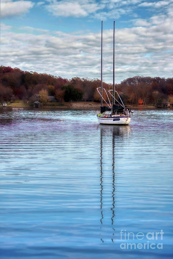 Moored Sailboat Photograph by Nicki McManus