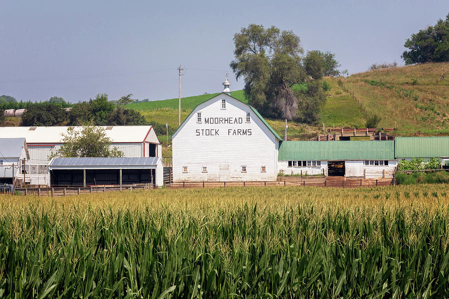 Moorhead Stock Farms Barn - Loess Hills Photograph by Susan Rissi Tregoning