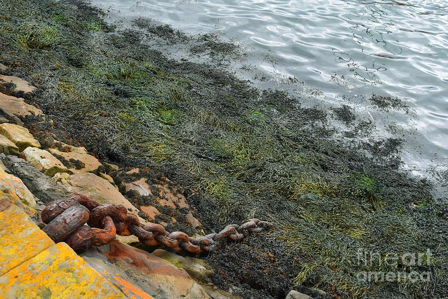 Mooring Chain - Granton Pier Photograph by Yvonne Johnstone