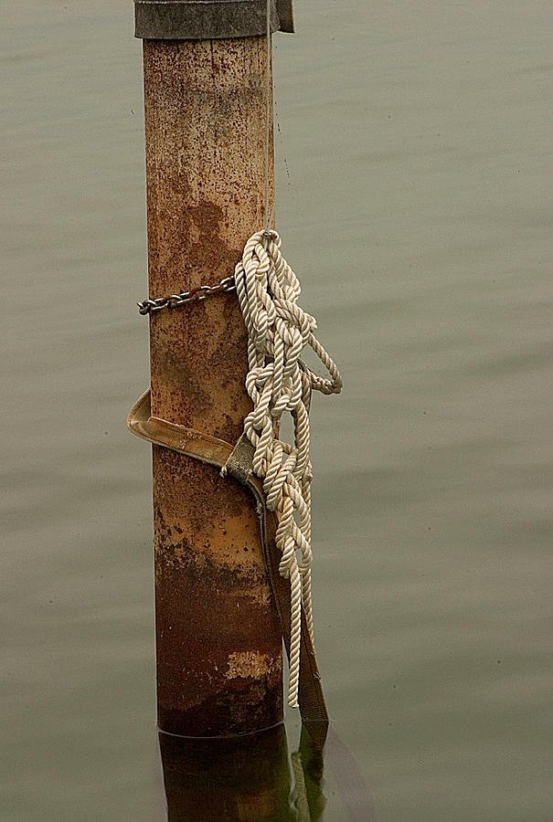 Mooring Photograph by David Hubler - Fine Art America