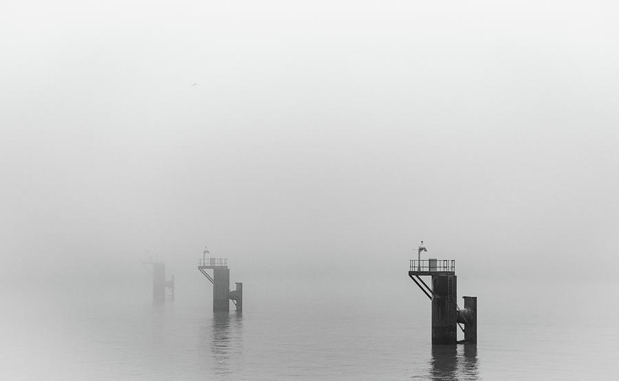 Mooring Dolphins in the Fog Photograph by Gavin Lewis Mooring Dolphins in the Fog Photograph by Gavin Lewis