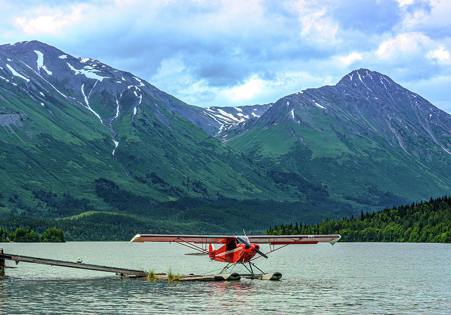 Moose Alaska Float Plane Photograph by Douglas Wielfaert
