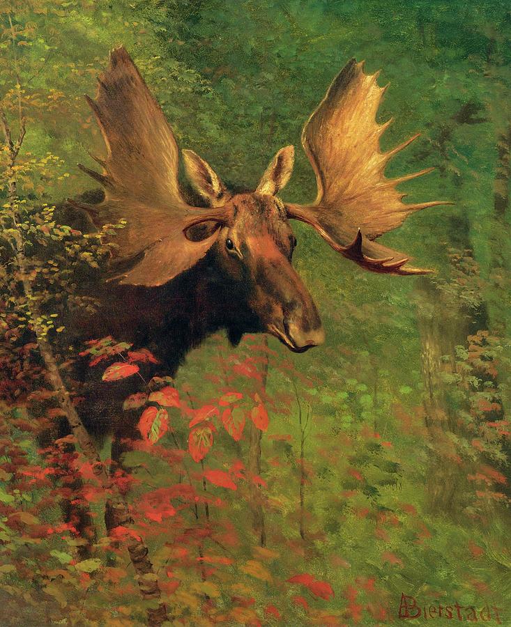 Moose Painting by Albert Bierstadt