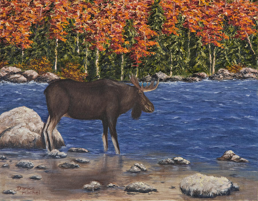 Moose Crossing Painting by Darice Machel McGuire