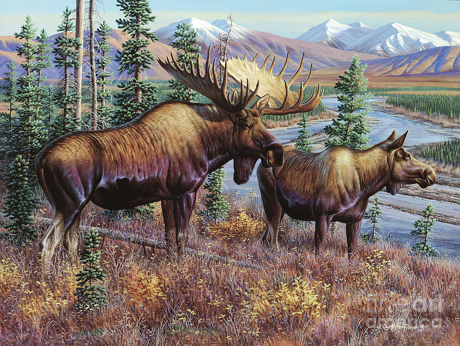 Moose Painting - Moose   by Cynthie Fisher
