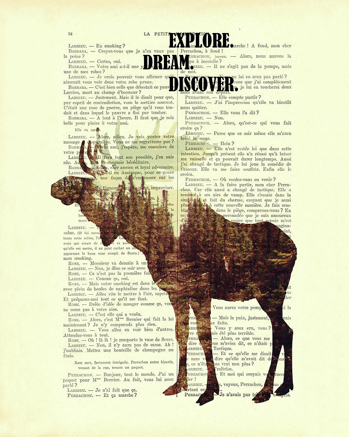 Moose Digital Art - Moose - Explore dream discover - inspiration by Madame Memento